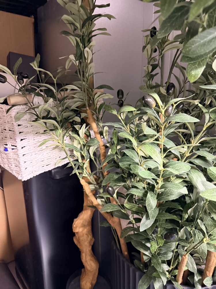 SmartStop Self Storage - Gilbert St  auction IB-4205 30