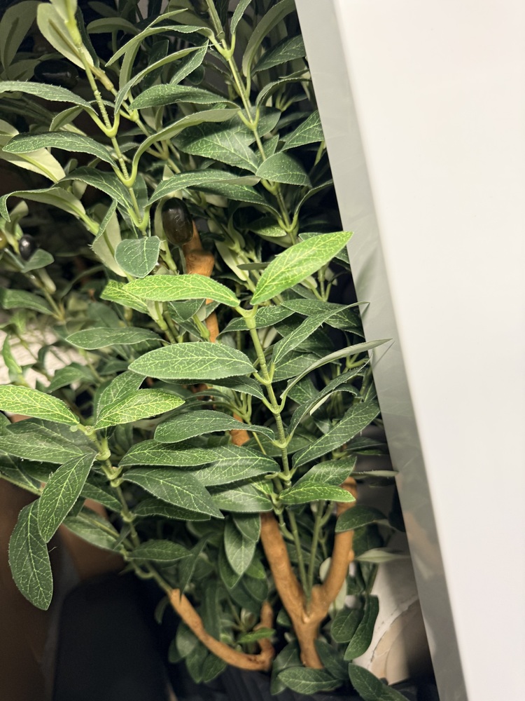 SmartStop Self Storage - Gilbert St  auction IB-4205 50