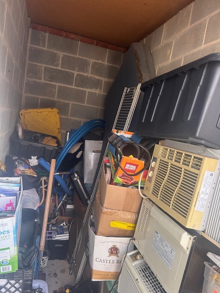 Advantage Self Storage - Piney Creek Chester MD  auction IB-8406 10