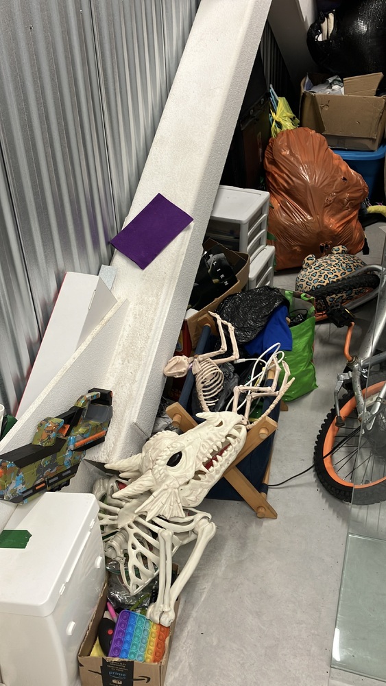 Advanced Self Storage - Maple Meadows  auction IB-4872 40