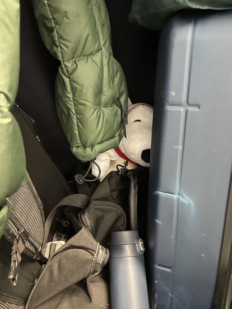 Citybox Storage - Midtown  auction IB-5809 20