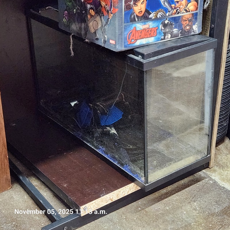 Moving & Storage of Forest Glade  auction IB-5249 70