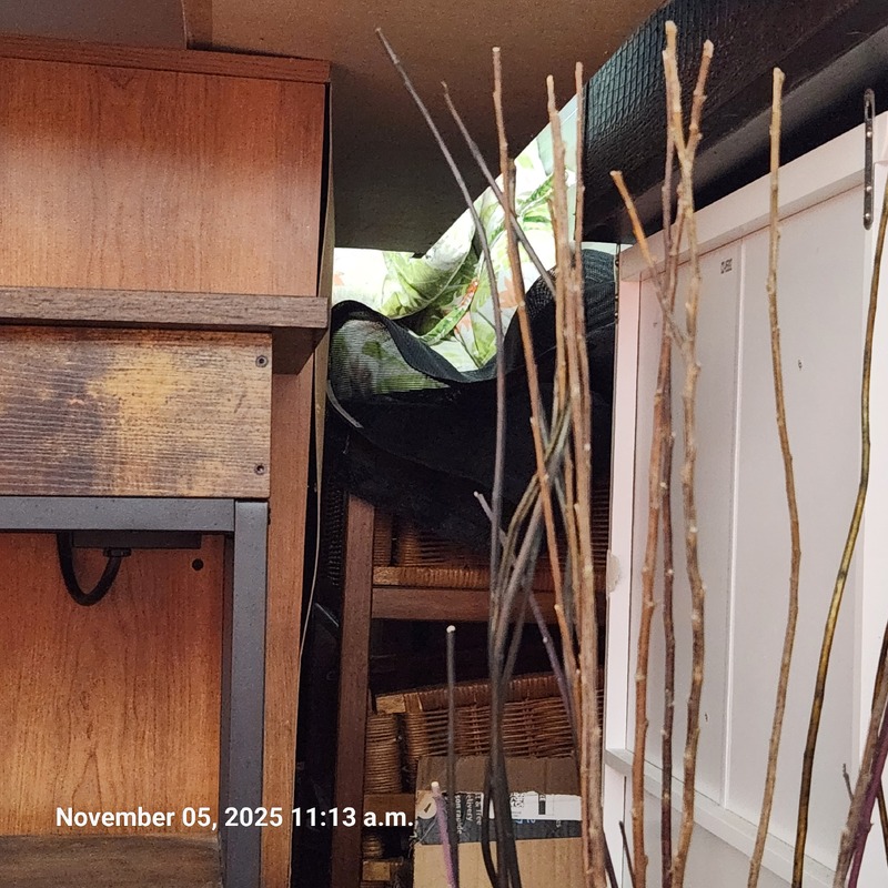 Moving & Storage of Forest Glade  auction IB-5249 170