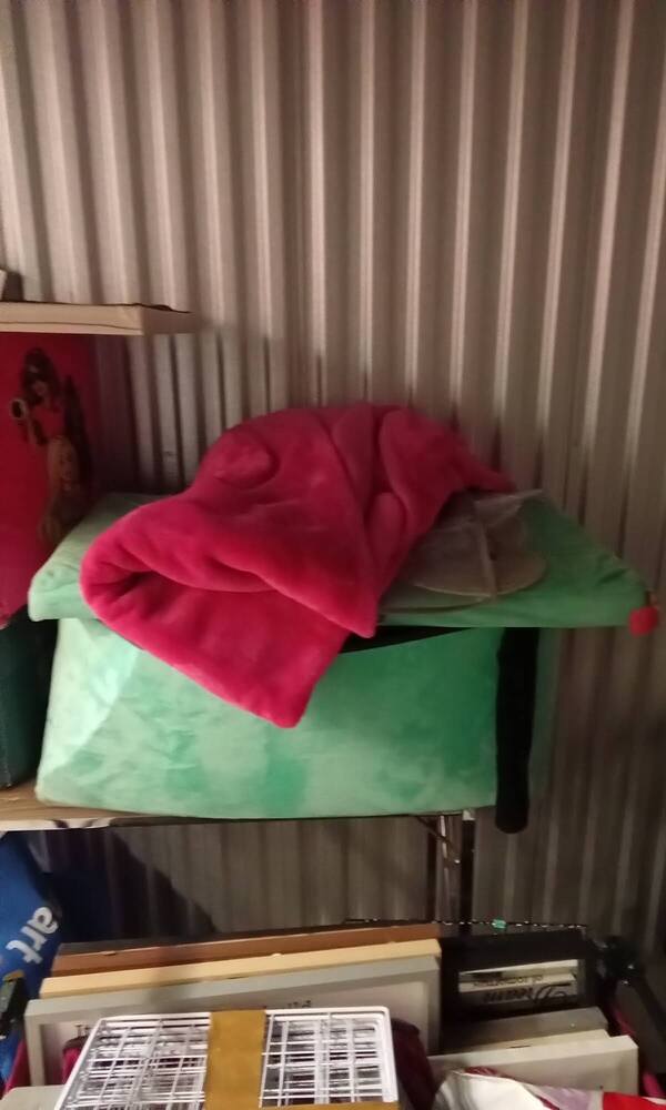 Pockit Self Storage - Pinegrove  auction IB-5815 80