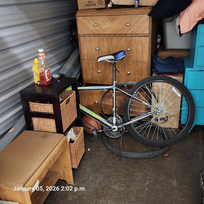 Moving & Storage of South Walkerville  auction IB-6390 40