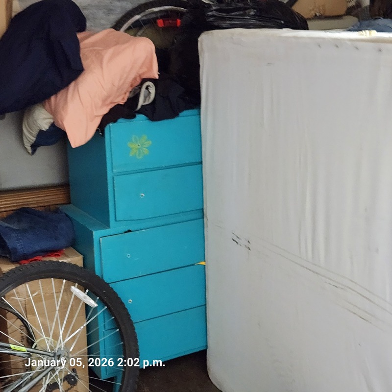 Moving & Storage of South Walkerville  auction IB-6390 50