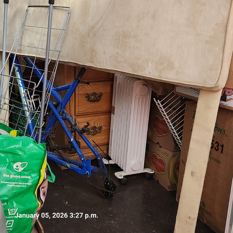 Moving & Storage of South Walkerville  auction IB-6805 10