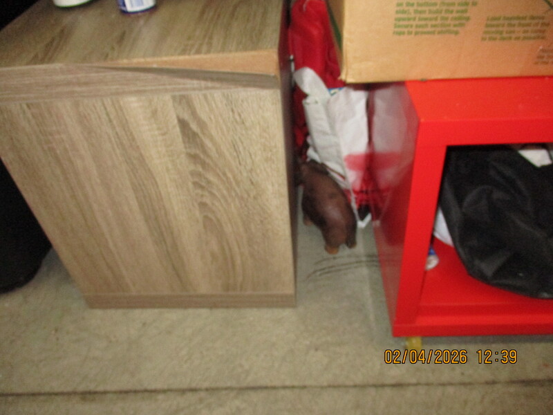 Public Storage P0040 - Terminal Ave  auction IB-1261 20