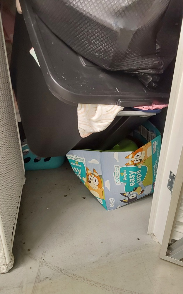 STORExpress - Murrysville   auction IB-3986 20