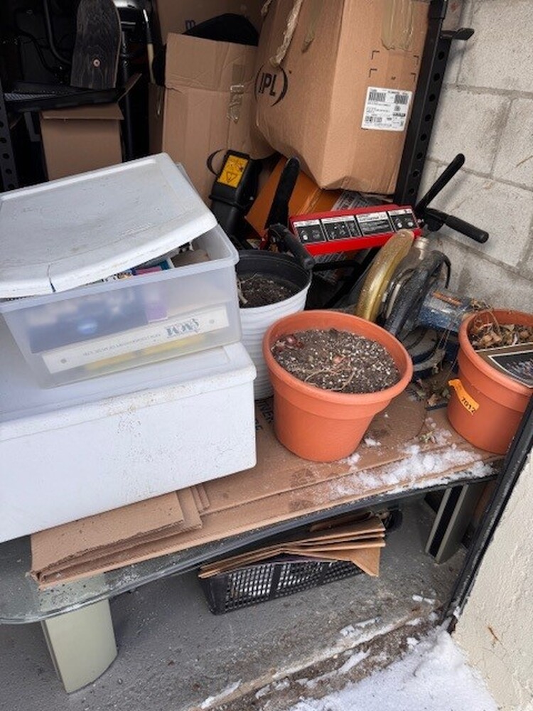 Public Storage P0008 -Dynamic Dr  auction IB-7202 80