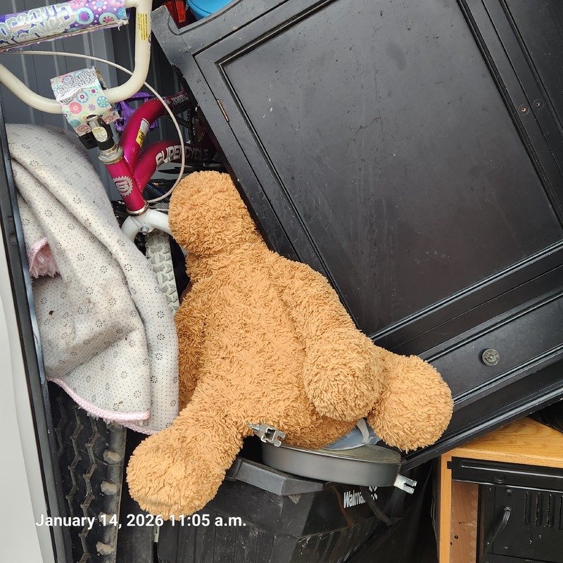 Moving & Storage of Windsor  auction IB-7852 20