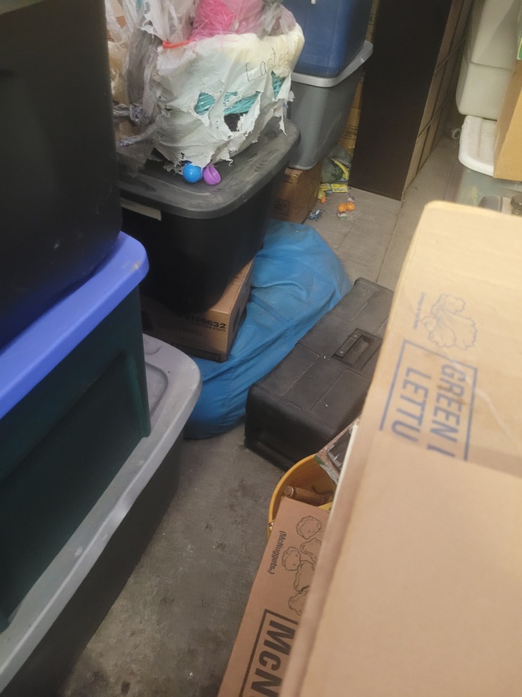 STORExpress - Etna   auction IB-6510 10