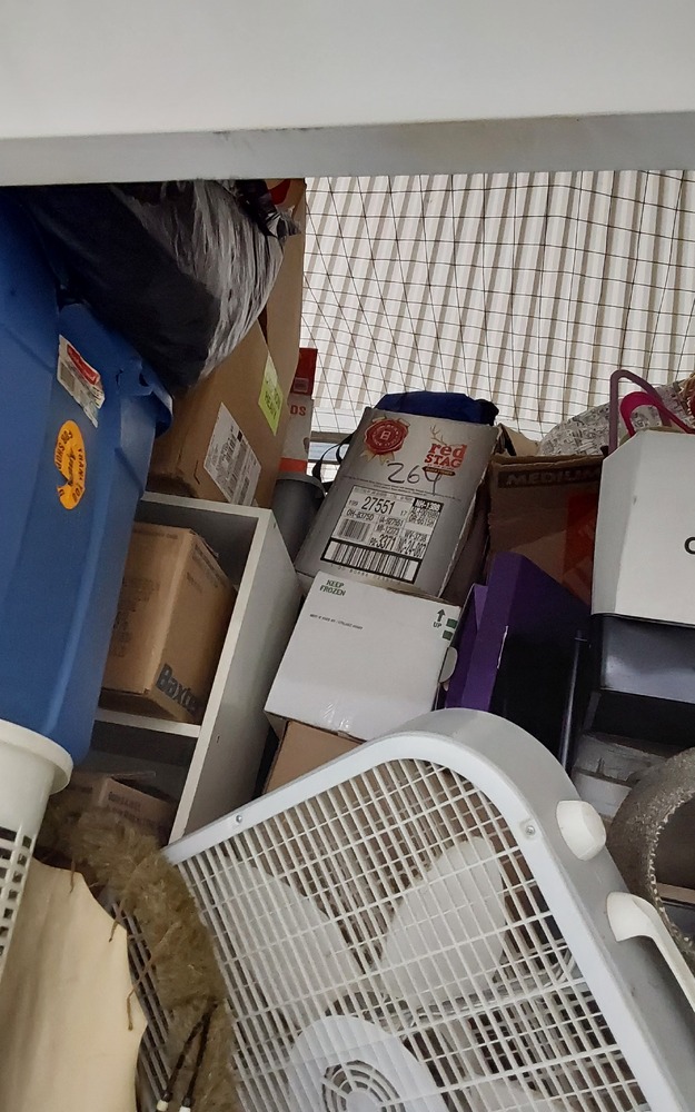 STORExpress - Etna   auction IB-8548 70