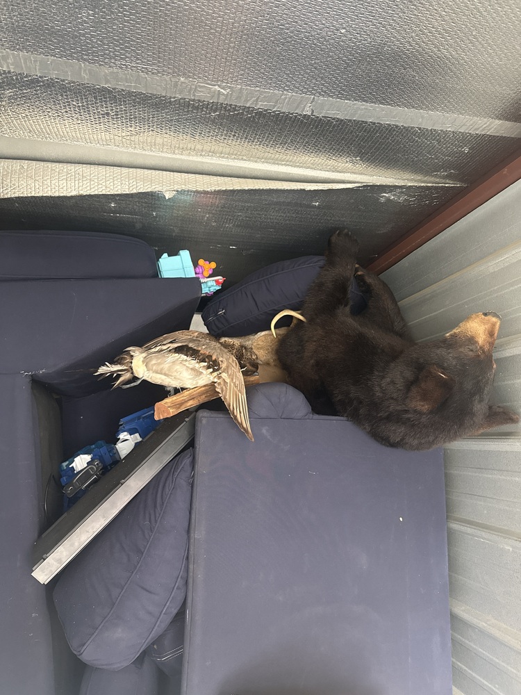 Air Base Mini Storage - Dover  auction IB-5797 10