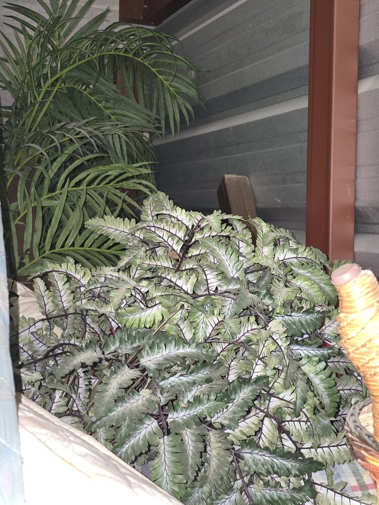 3003 -StorageMart  Adelaide St  auction IB-3916 80