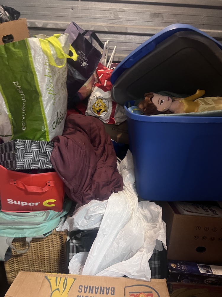 3106 - StorageMart St-Hubert  auction IB-9461 10