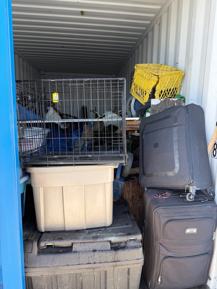 Lock N Go Inc  auction IB-3763 10