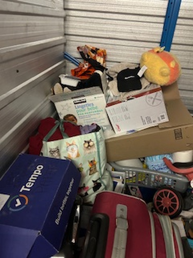 3107 -StorageMart  Downtown  auction IB-8799 30