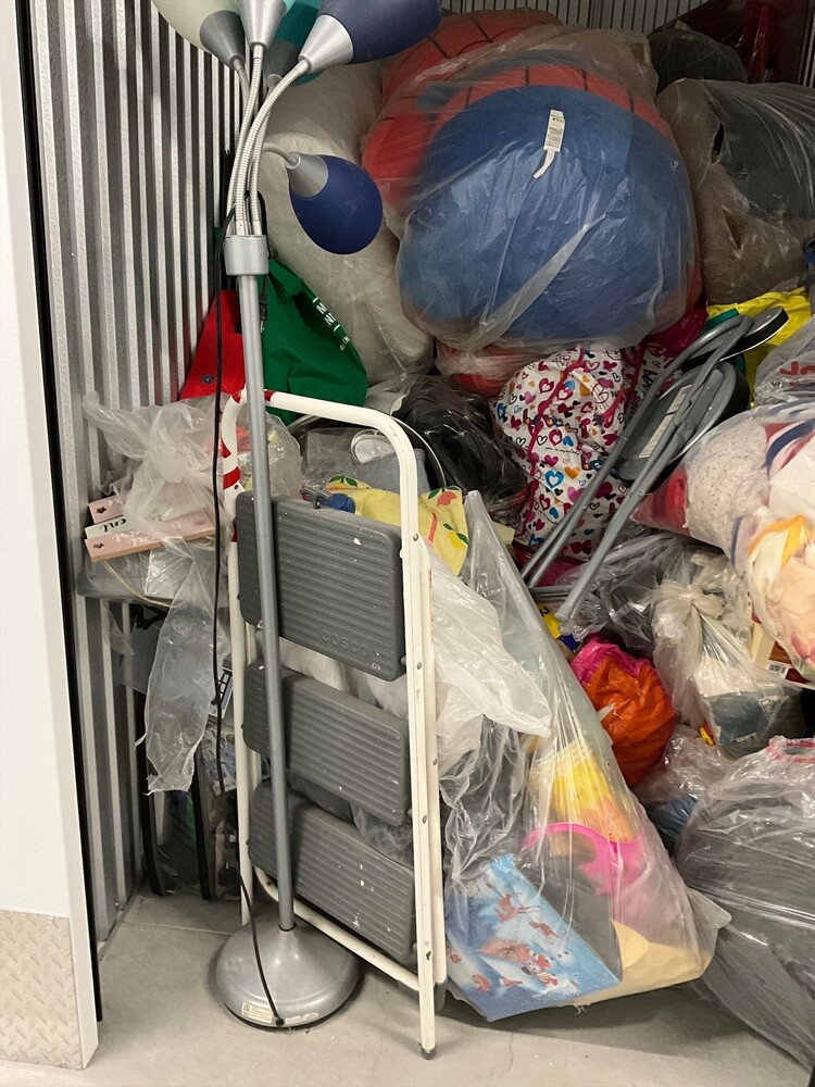 SmartStop Self Storage - Milner Av Scarborough  auction IB-7666 10