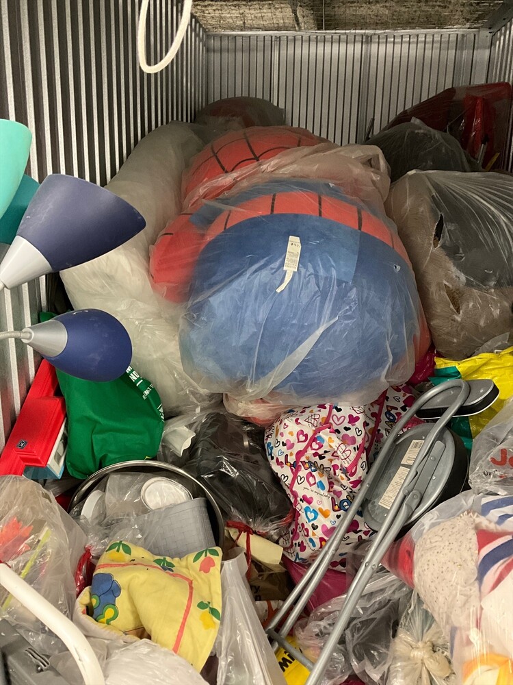 SmartStop Self Storage - Milner Av Scarborough  auction IB-7666 30