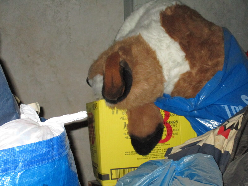 Public Storage P0036 - Rupert St  auction IB-2713 30