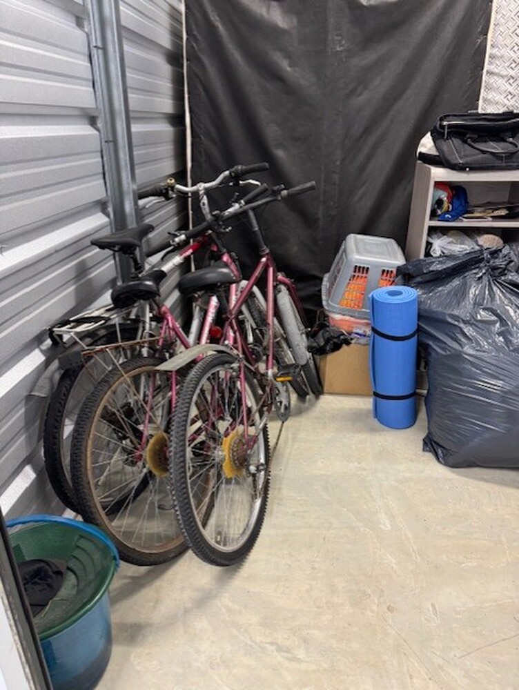 All Access Storage  auction IB-7619