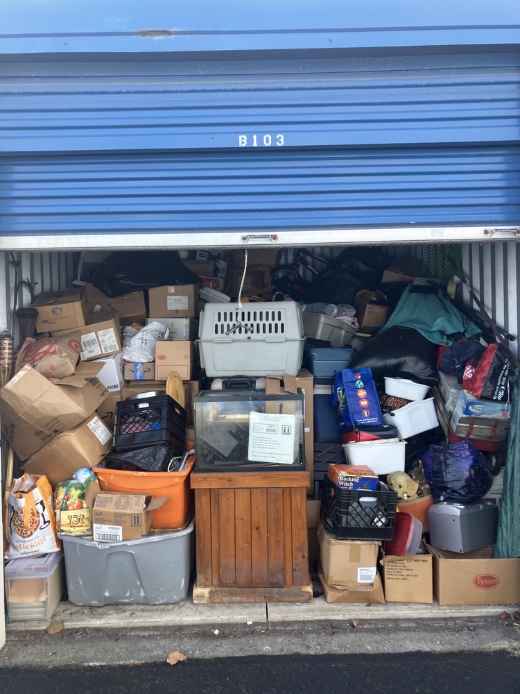 Advantage Self Storage - Depew NY  auction IB-1072