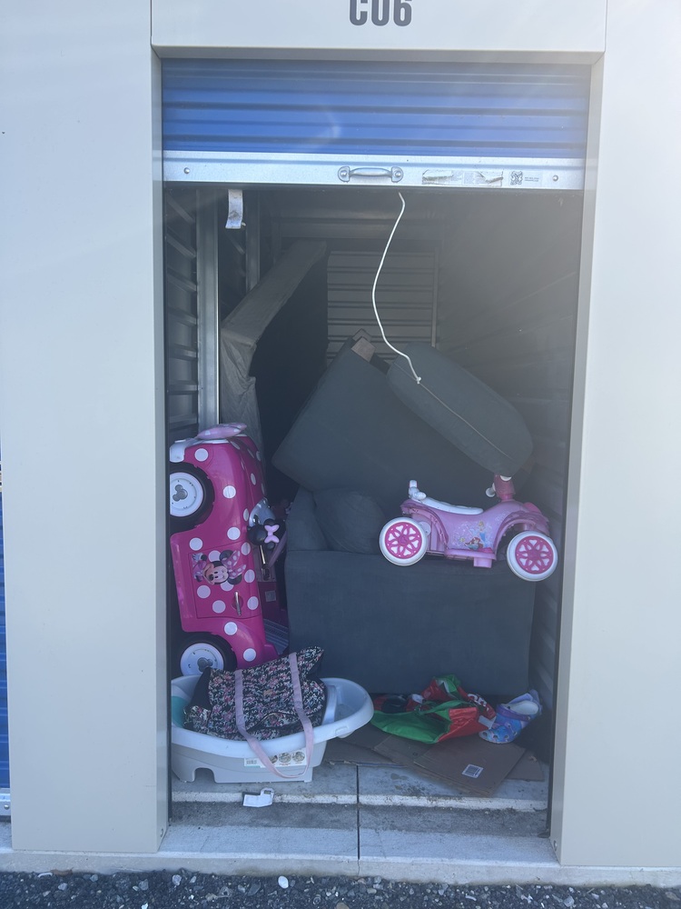 DEStorage - Laurel  auction IB-2000