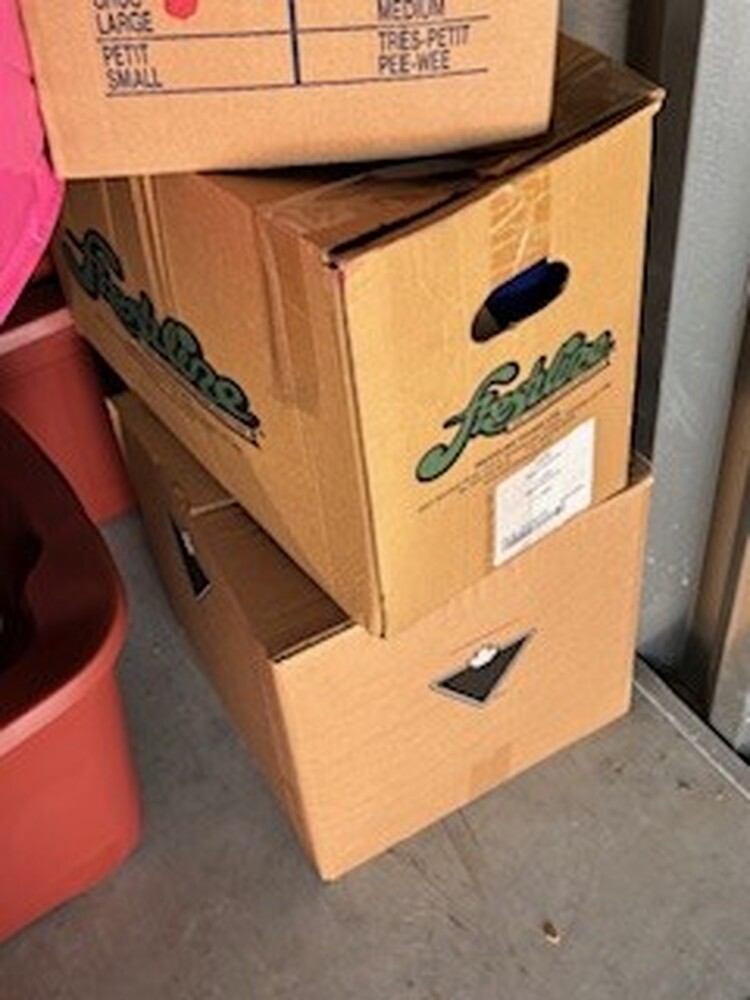 3027 - StorageMart Georgetown  auction IB-1269 50