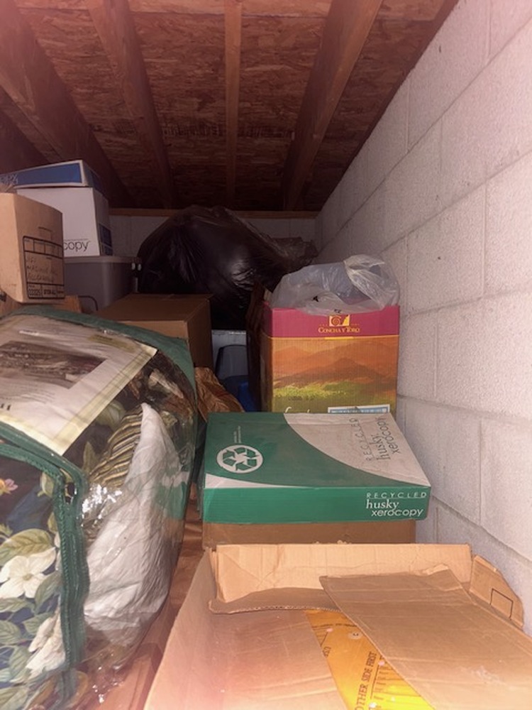 Advantage Self Storage - Piney Creek Chester MD  auction IB-5969 20