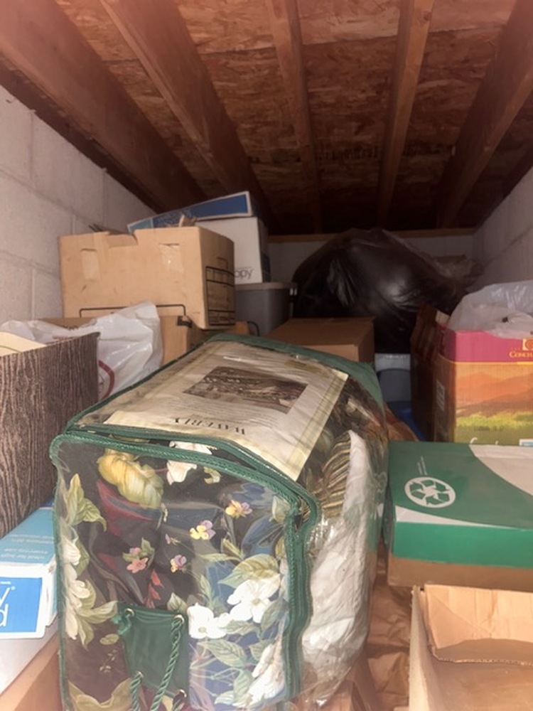 Advantage Self Storage - Piney Creek Chester MD  auction IB-5969 30