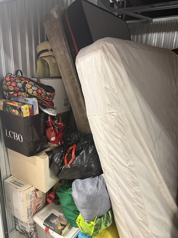 3019 - StorageMart 345 Danforth Road  auction IB-3702 20