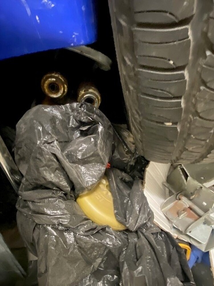 Public Storage P0006 -Greensboro Drive  auction IB-8998 30