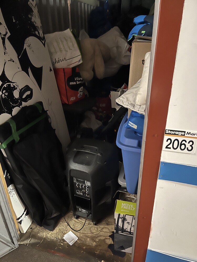 3102 - StorageMart St-Leonard  auction IB-4603 20