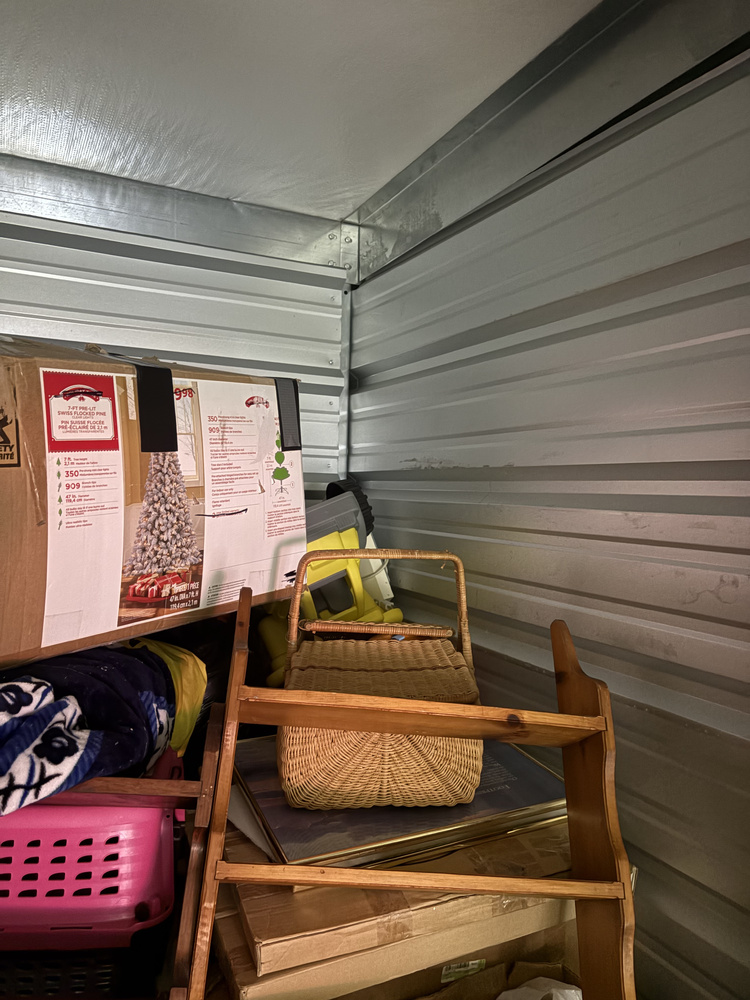 A1 Storage Systems Inc.  auction IB-3697