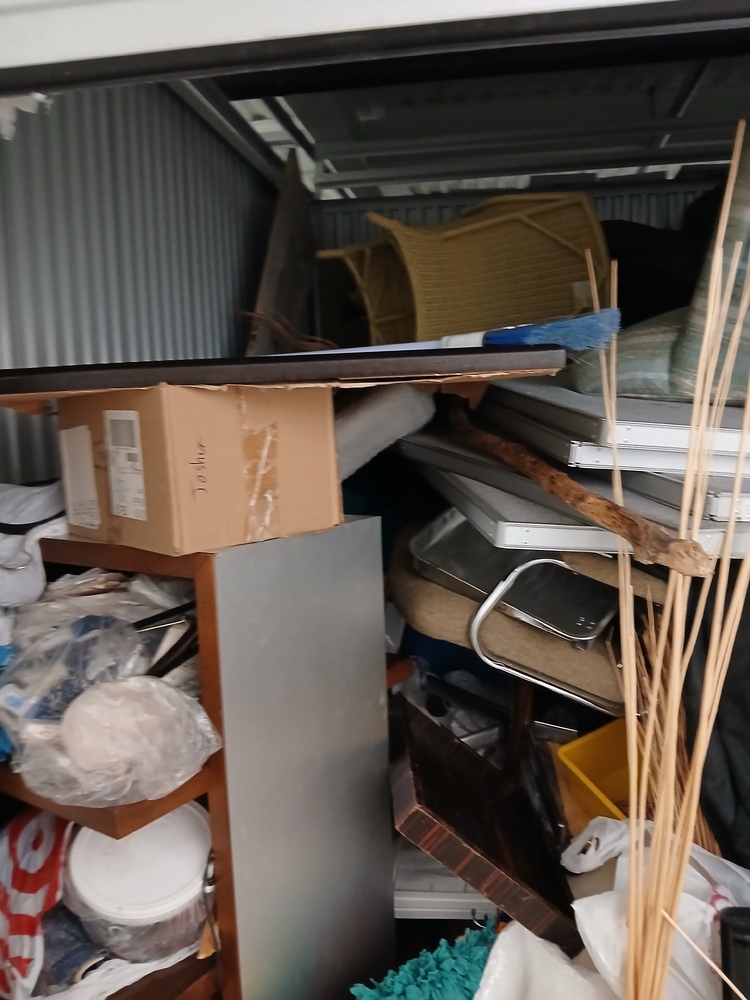 1-800-Self-Storage.com on Maple Rd, Troy  auction IB-9937 20