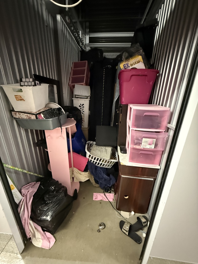 3019 - StorageMart 345 Danforth Road  auction IB-6415