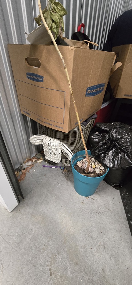 NationWide Self Storage - Pender  auction IB-9808 50