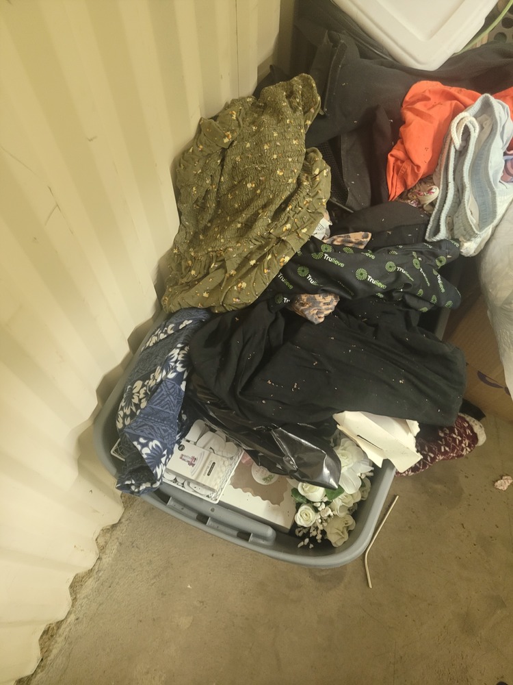 STORExpress - Etna   auction IB-3396 80