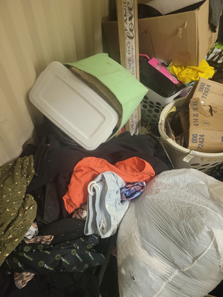 STORExpress - Etna   auction IB-3396 100