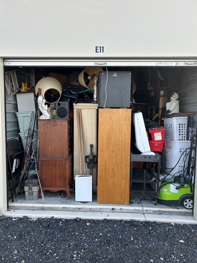 DEStorage - Laurel  auction IB-3548