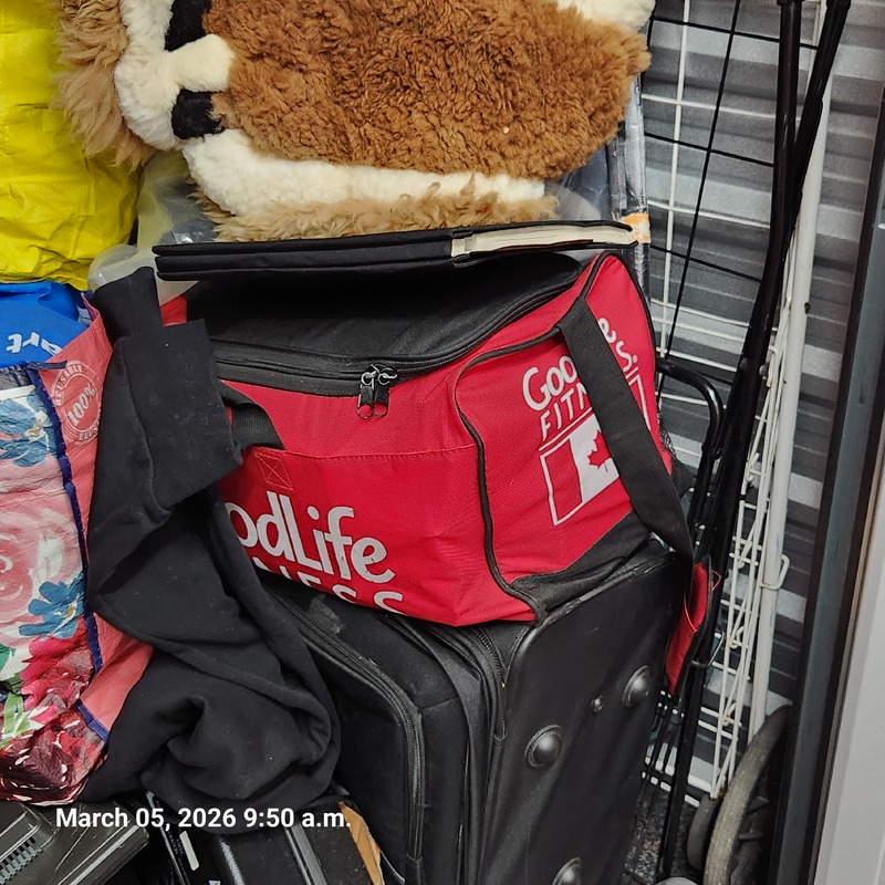 Moving & Storage of Western Fair  auction IB-1864 50