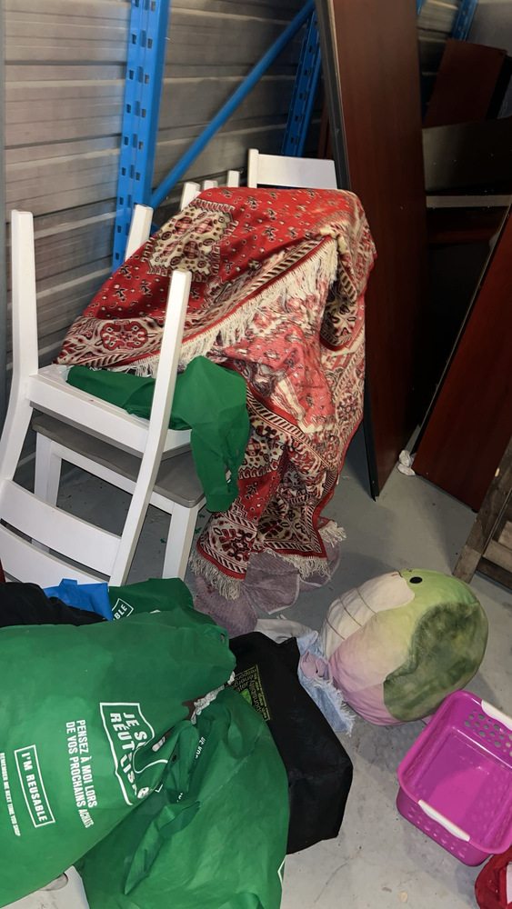 3107 -StorageMart  Downtown  auction IB-5393 100