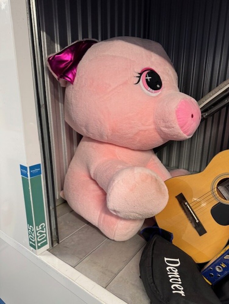 SmartStop Self Storage - Toronto - Dupont  auction IB-7372 20