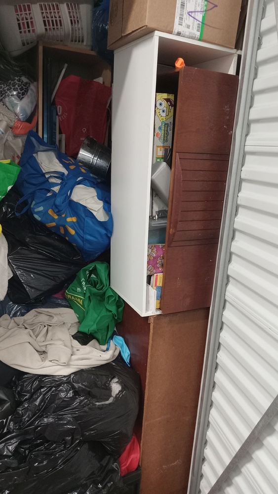 SmartStop Self Storage - Sanford Hamilton  auction IB-4473