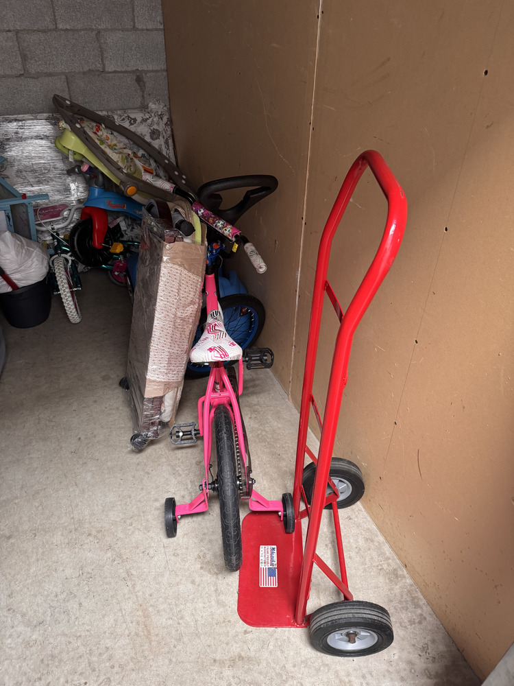 Public Storage P0008 -Dynamic Dr  auction IB-3014 30