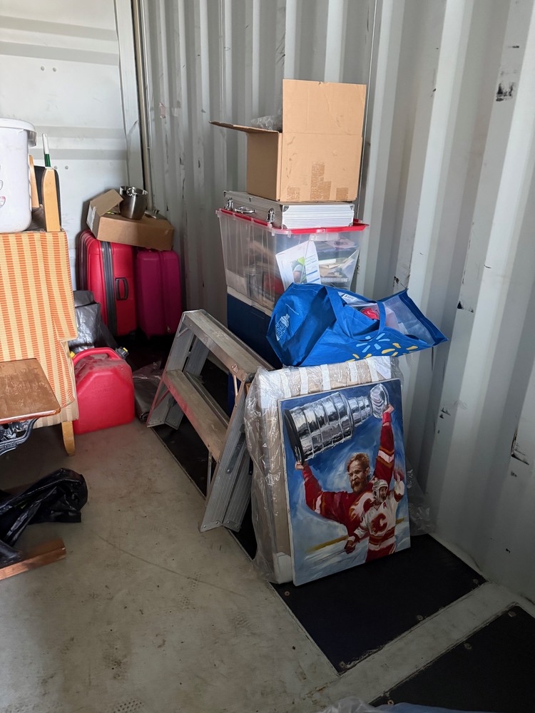 Lock N Go Inc  auction IB-6047 110