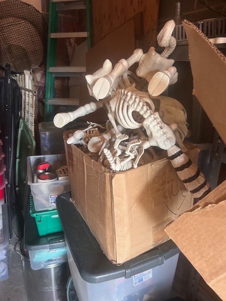 Advantage Self Storage - Piney Creek Chester MD  auction IB-3509 130