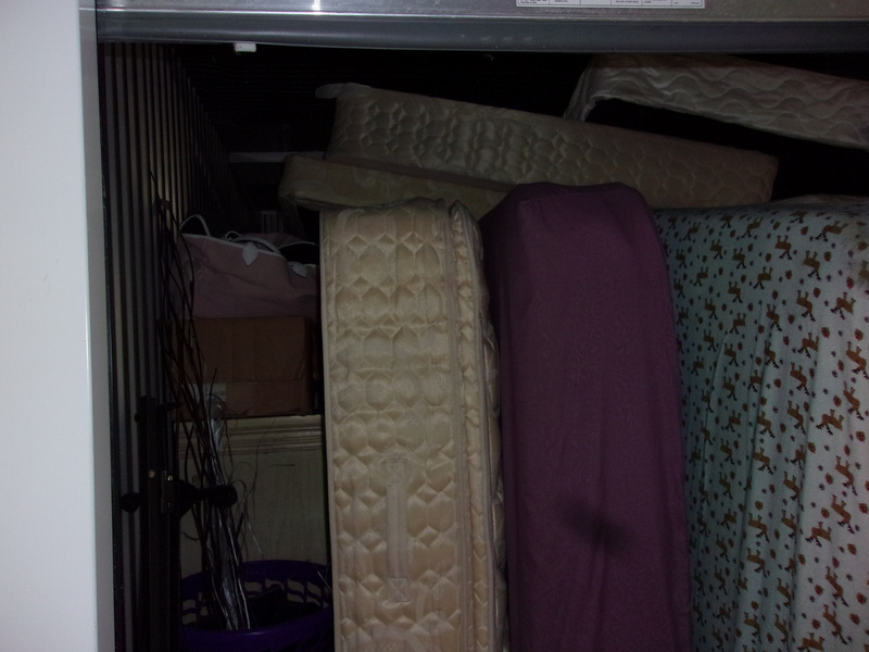 1-800-Self-Storage (8 Mile)  auction IB-5549 50