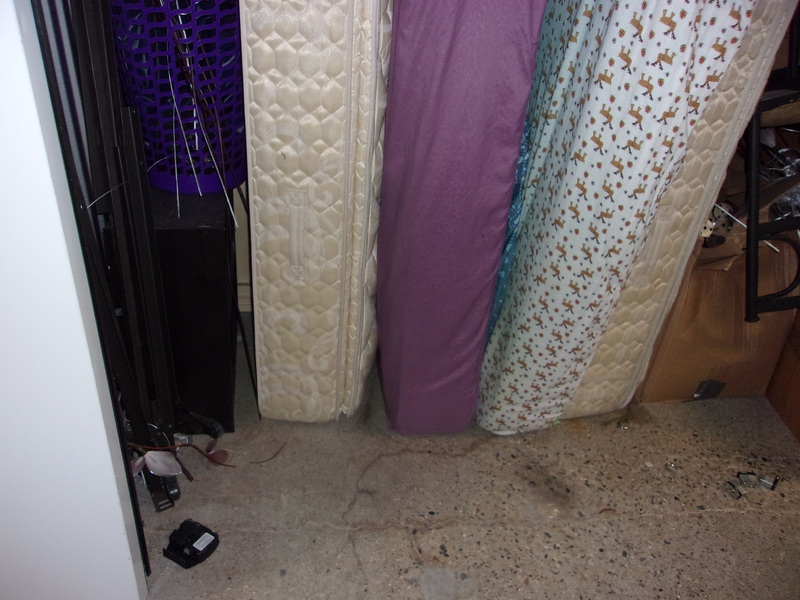 1-800-Self-Storage (8 Mile)  auction IB-5549 40